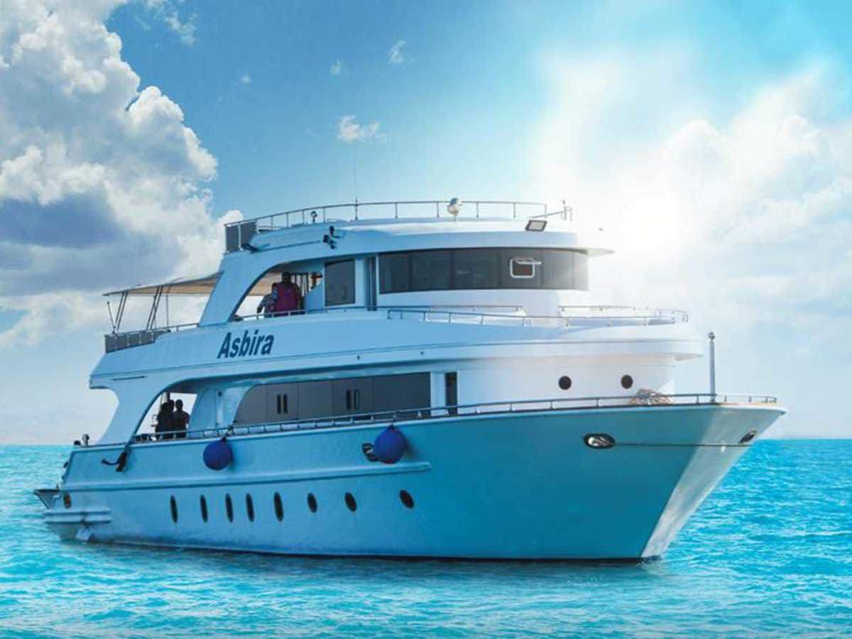 blue denim shorts blue denim shorts